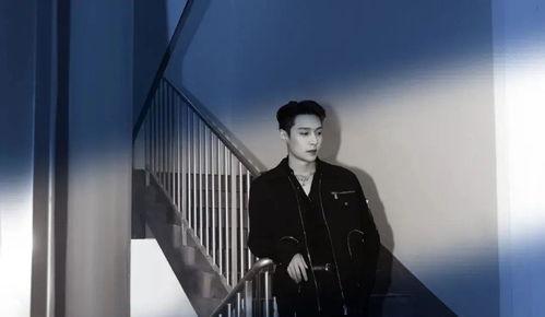 娱乐圈真实爆料2021,揭秘明星幕后故事与幕后黑幕  第1张